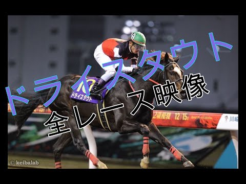 【現役競走馬】【ドライスタウト】　全レース映像